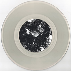 disc only